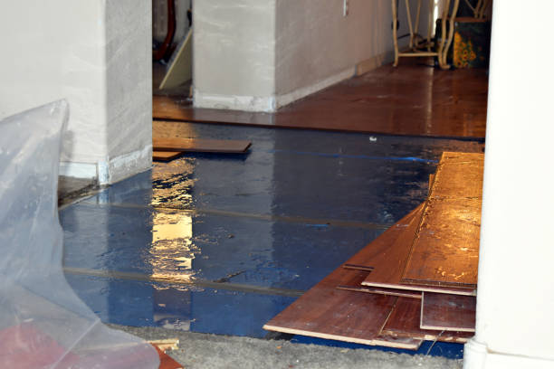 Professional Burst Pipe Cleanup technician working in Saxapahaw, NC
